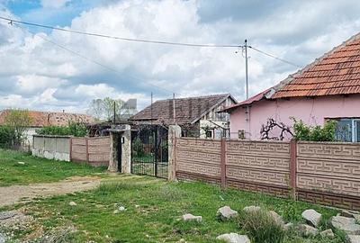 Casă cu 6 camere cu Teren 1439 Mp în Tinca - 1
