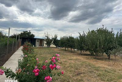 Casă cu 5 camere cu Canalizare în Vânători - 4