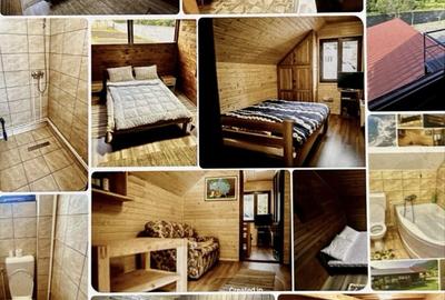 Casă cu 4 camere în Andreneasa - 3