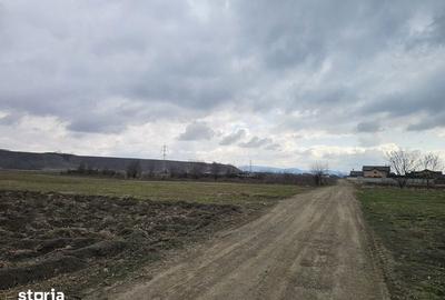 Teren de 5957 mp, în Central