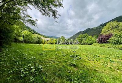 Casa la munte, comuna Bicazu Ardelean, jud. Neamt - 12