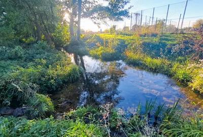 Teren de 7526 mp, în Băcia - 2