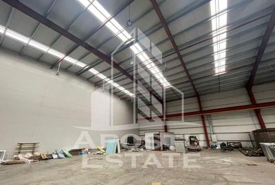 Hala 600 mp constructie noua Sacalaz - 2