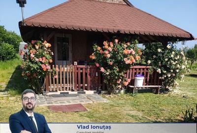 Casă cu 1 camere cu Teren 3000 Mp în Satulung - 1