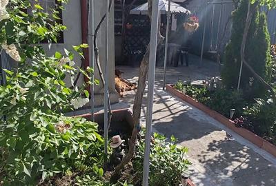 Casă cu 3 camere în Anda - 7