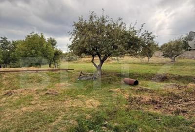 Casa etaj, 140 mp utili, 4800 mp teren, Adancata - 1