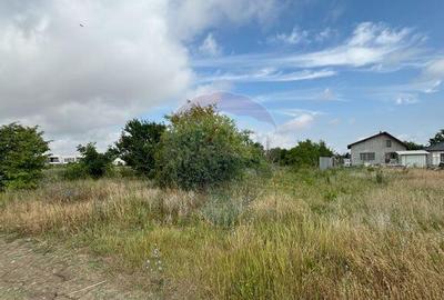 Teren Corbeanca, zona case/vile noi - 6