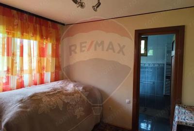 Casa - Cabana de vanzare in Firiza - 17