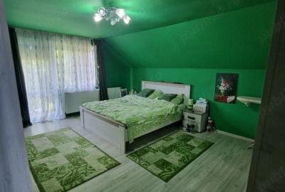 Casă cu 5 camere în Sânmihaiu Român - 4