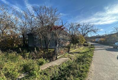 Casă individuală cu 3 camere cu Teren 888 Mp în Bogdand - 10