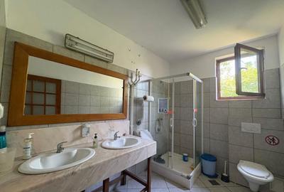 Complex industrial *hala 682 mp + teren 2,5 ha* - Tetila - 1