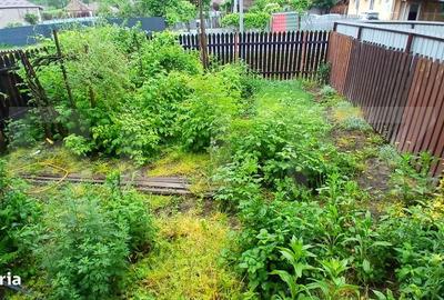 Apartament cu 2 camere decomandat în Pietriș - 8