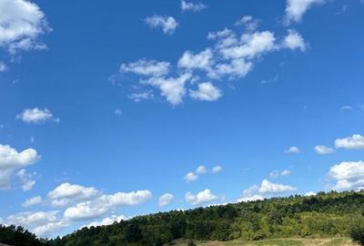 Casă cu 2 camere în Pătârș - 3