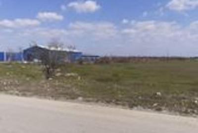 Teren de 38000 mp, în 1 Decembrie - 2