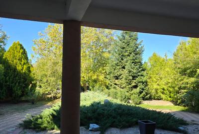 Casă individuală cu 6 camere cu Canalizare în Crevedia - 33