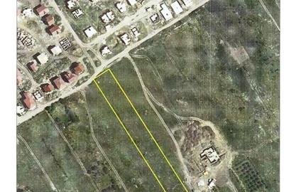Vanzare teren intravilan 10.000 mp | regim inaltime P+4E+M/1Er | Pipera - Campul - 3