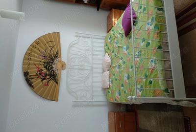 Ofer spre inchiriere - 3