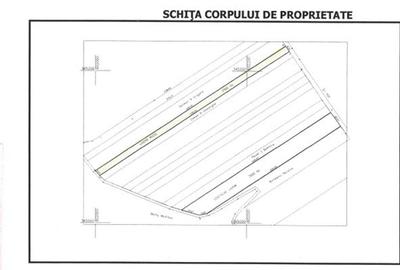 TEREN EXTRAVILAN 5000 MP || PETRACHIOAIA - 1