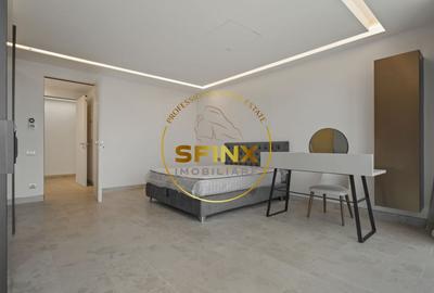 Kiseleff, 4 room penthouse with roof terrace, panoramic view, pet friendly - 9