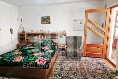 Casa cu gradina in Cricau - 5