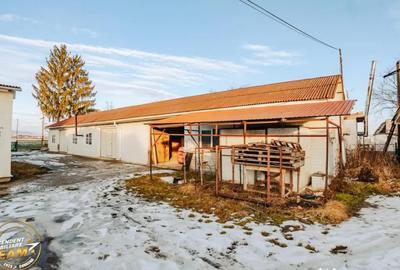 Spațiu comercial, de 1,341 mp, în Valea Crișului - 14