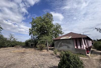 Casă cu 4 camere în Copaciu - 1