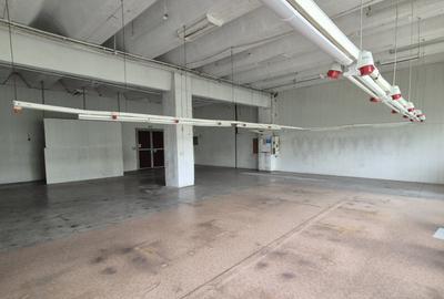 Spatiu Th. Pallady | Ozana | Depozitare-Productie 180mp - 2