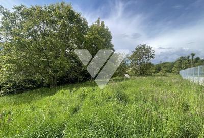 Teren Intravilan Constructii - Cisnadioara - Sibiu - 4