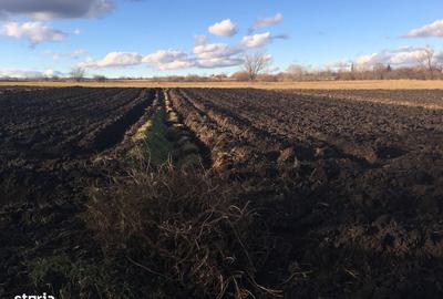 Casă cu 6 camere cu Teren 3417 Mp în Drăgoiești - 7