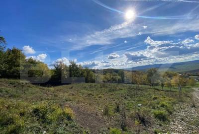 Teren de 1000 mp, în Central - 3