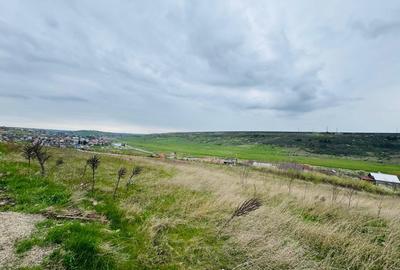 Teren Construcții de 750 mp, în Copou - 1
