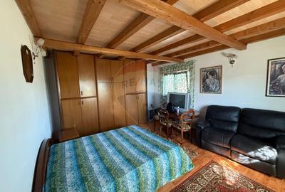 Casa Pielesti Teren 1624 mp - 9