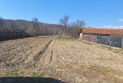 Spațiu comercial, în Sâmbotin - 2