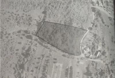 Teren de 7755 mp, în Câmpuri de Sus - 1