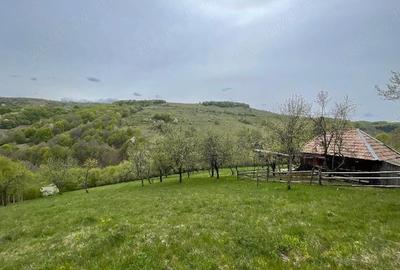 Casă cu Teren 15000 Mp în Bătrâna - 6