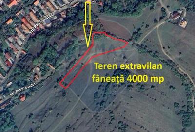 Teren extravilan, faneata, 4000 mp, Tarlungeni - 1