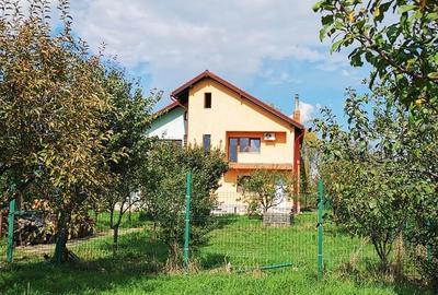 Vila Deosebita Rudicica - 8