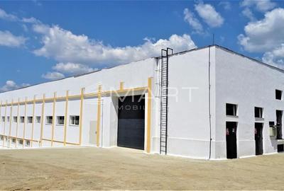 Hala industriala acces TIR, 1000mp Cisnadie - 8