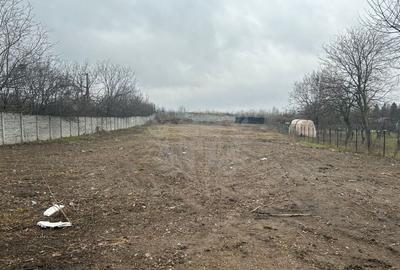 Teren Construcții intravilan de 2490 mp, în Mihai Bravu - 5