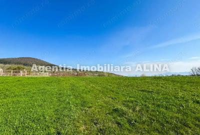 Teren intravilan 6.516 mp in Deva, prelungire str. Vulcan, spre Almas, Jud. Hunedoara. - 3