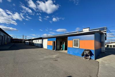 SERVICE AUTO Ultramodern (Business ultraprofitabil la cheie - 9