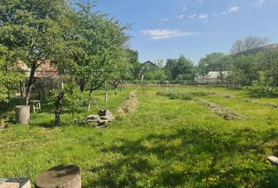 Casa regim Dp+P teren generos 1152 mp Codlea, DN1, 2 garaje, gradina - 6