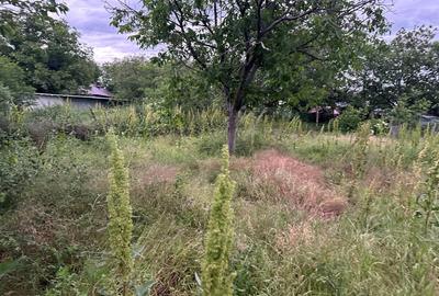 Teren intravilan de vanzare ,Golesti str Garlei in spate la Lukoil - 5