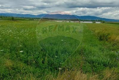 Teren superb Unciuc / jud.Hunedoara - 8