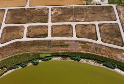 Intravilan In Rate in Frumusani-Pasarea | utilitati gaz, curent | #RG1 - 7