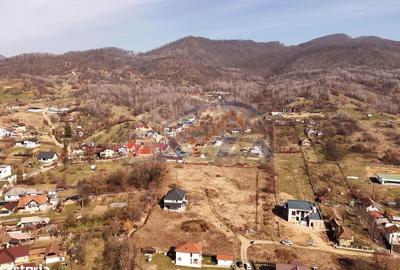 Teren de 10000 mp, în Central - 5