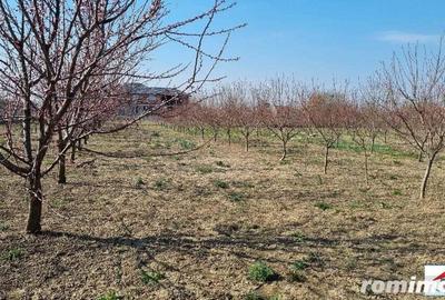 Teren intravilan 10 arii in Vetis ( ID 22844) - 2