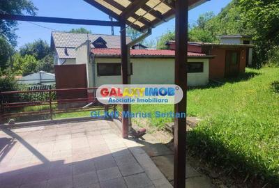 Casă cu 5 camere cu Teren 3657 Mp în Valea Lungă - 3