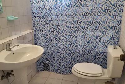 Vila mare, curte, 11 camere, 5 bai, mobilata, Cetatii/Timisoara - 4