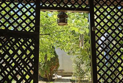 Casă cu 4 camere în Olari - 1